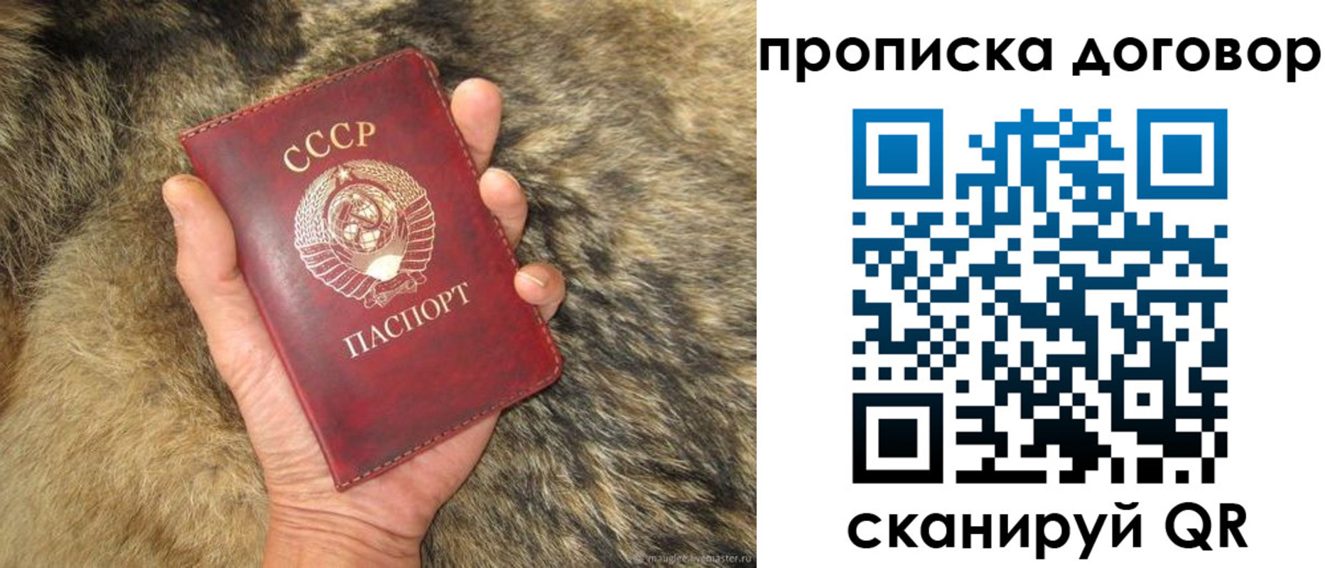 прописка регистрация в Пскове